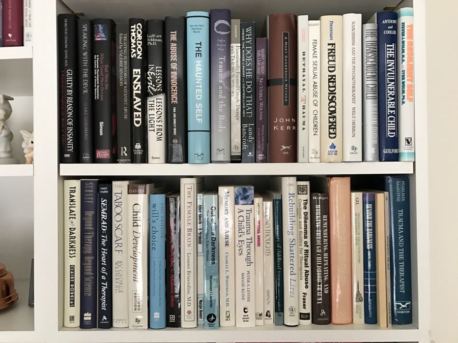 JUST ADDED - MEGA OFFICE LOT # 1 Featuring All Items On Bookshelves, Desk Top And In One Drawer With Books, Home Decor, See Details And Photos [Photo 47]