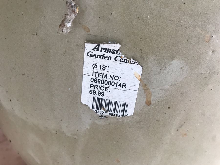 Large Coffee Bean Tree In 18' Pot - Roast Your Own Coffee Beans [Photo 7]