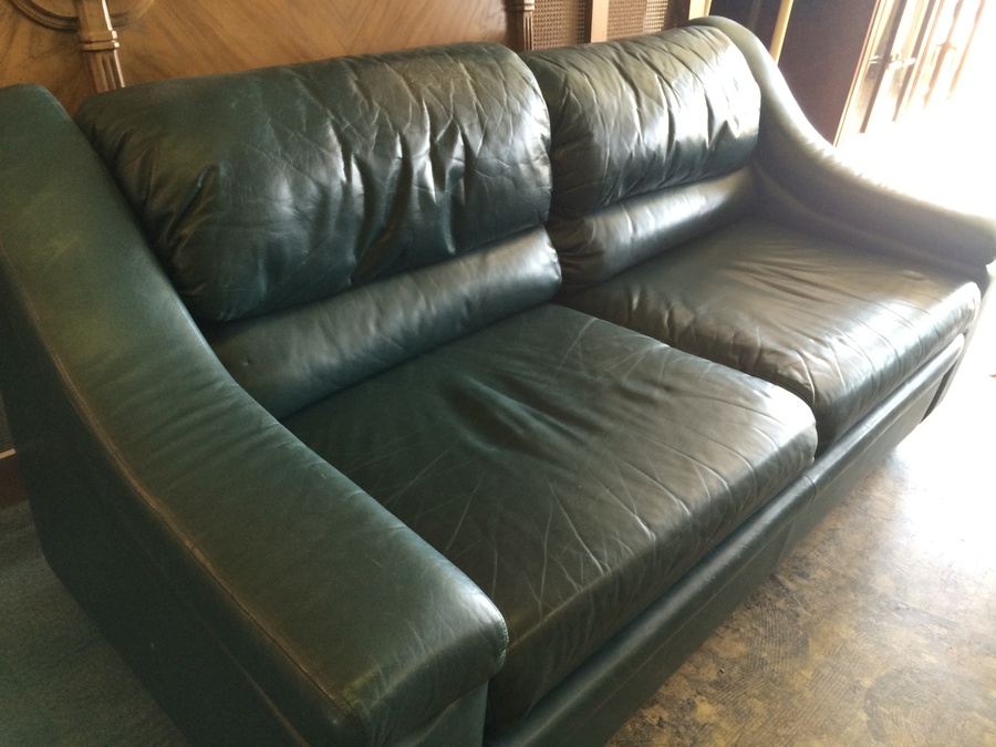 Green Sleeper [Photo 4]