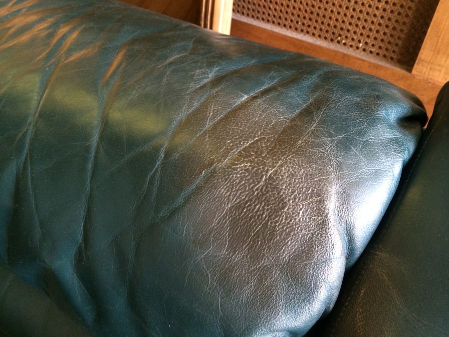 Green Sleeper [Photo 5]