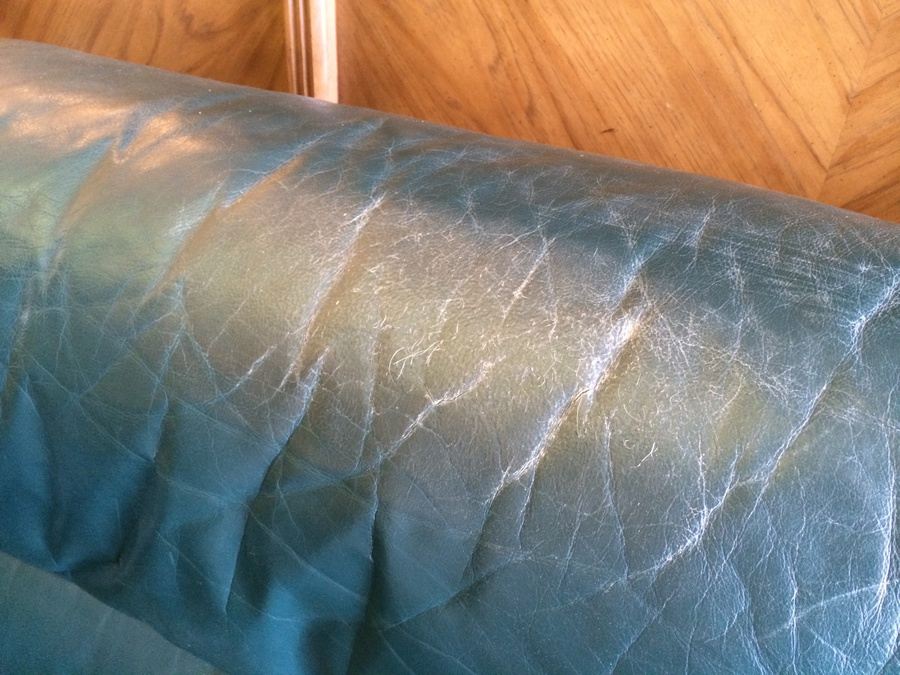 Green Sleeper [Photo 6]