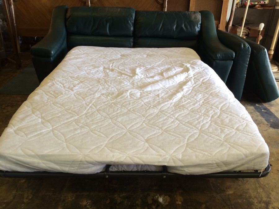 Green Sleeper [Photo 8]