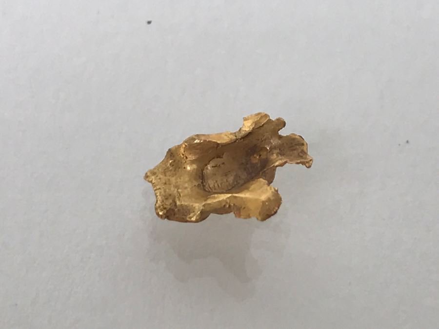 22K Yellow Gold Nugget 1.0g [Photo 5]