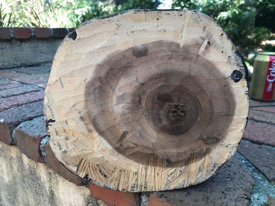  Large Hand Carved Wooden Begging Buddha Statue 40'H [Photo 19]