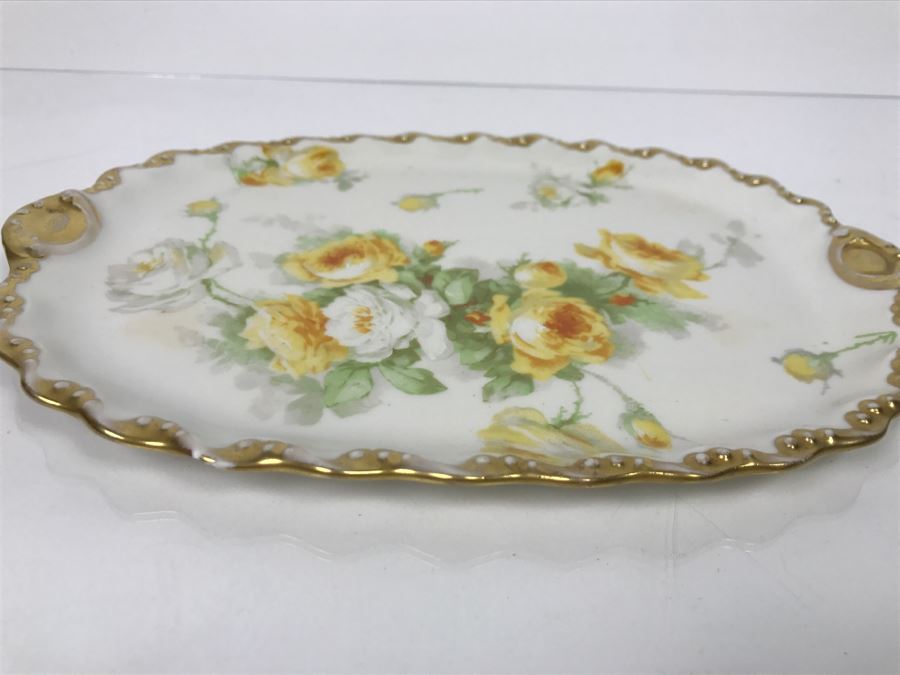 Limoges Coronet France Hand Painted Oval Plate [Photo 4]