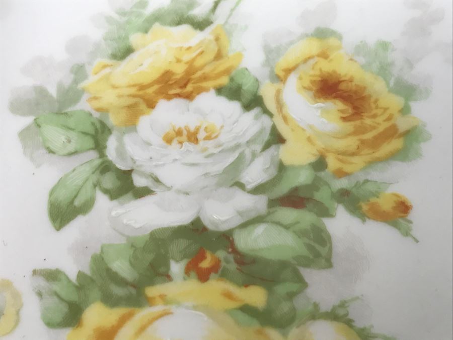 Limoges Coronet France Hand Painted Oval Plate [Photo 10]