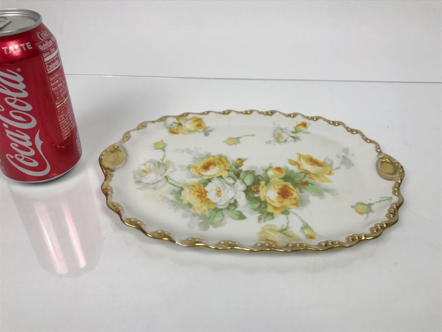 Limoges Coronet France Hand Painted Oval Plate [Photo 3]