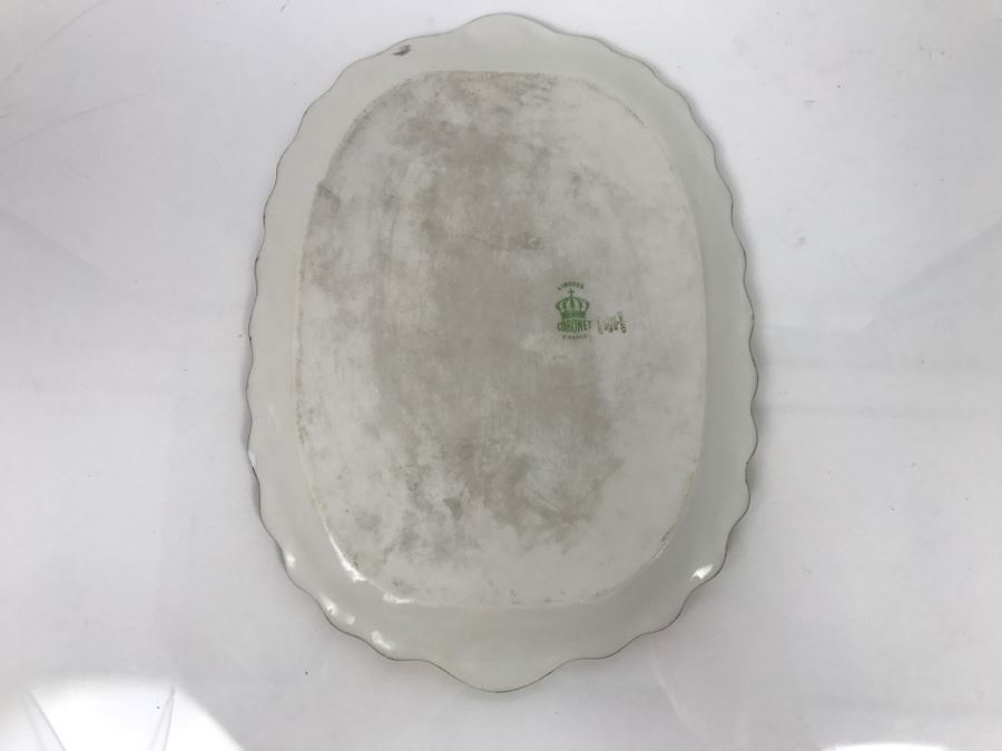 Limoges Coronet France Hand Painted Oval Plate [Photo 11]