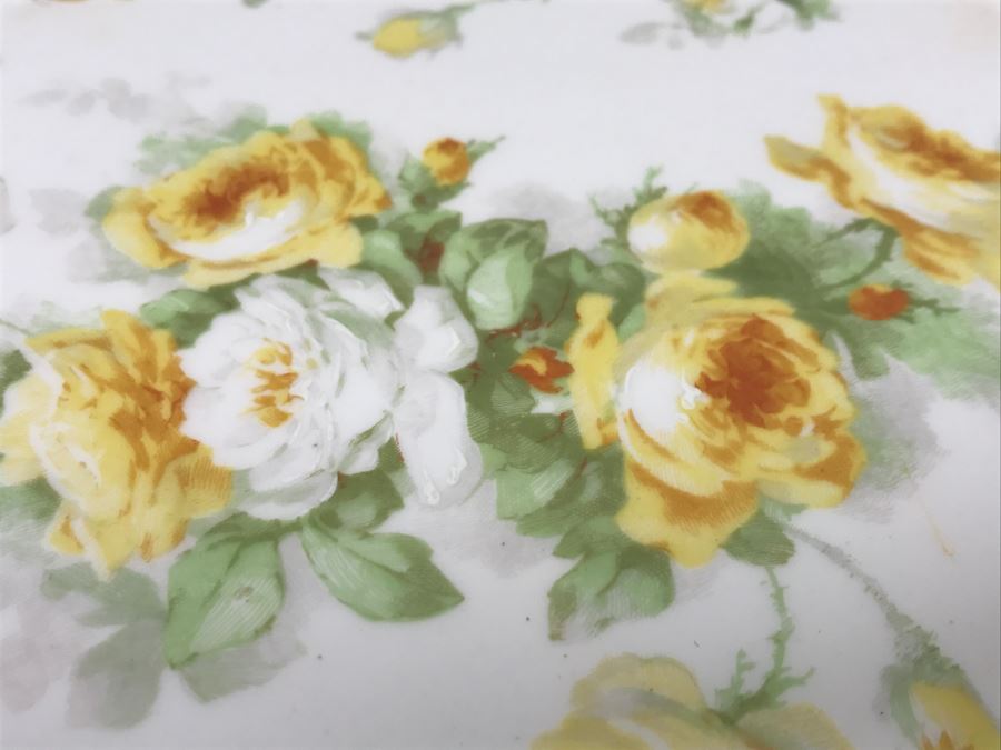 Limoges Coronet France Hand Painted Oval Plate [Photo 5]