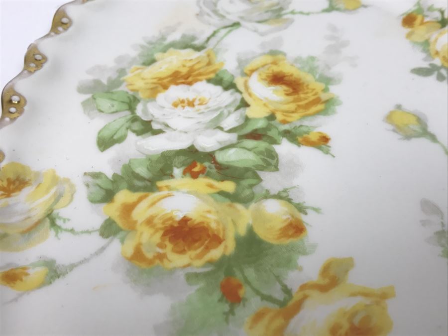 Limoges Coronet France Hand Painted Oval Plate [Photo 9]