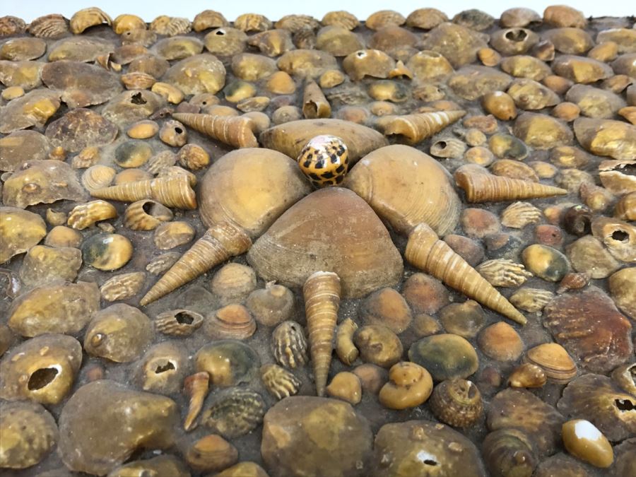 Vintage Seashell Box [Photo 6]