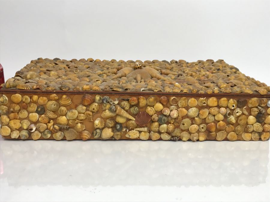 Vintage Seashell Box [Photo 10]