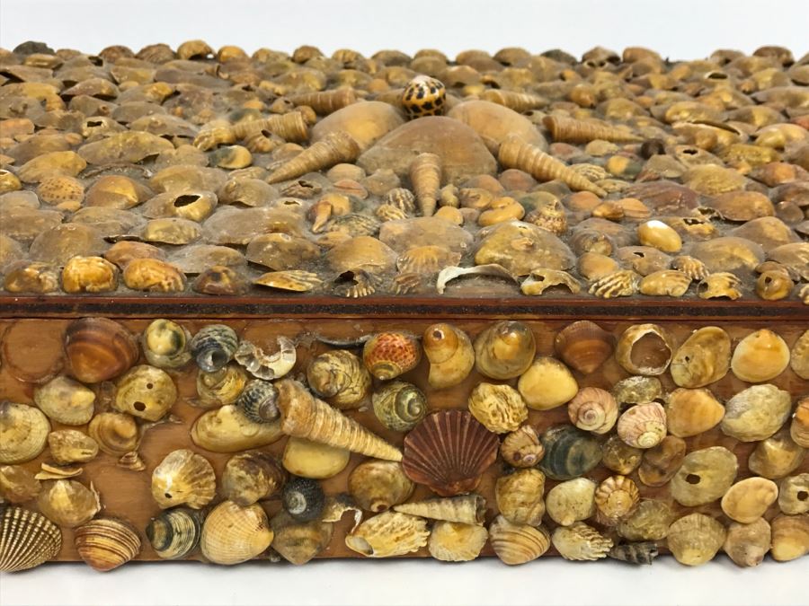 Vintage Seashell Box [Photo 8]