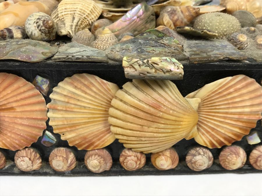 Vintage Seashell Box [Photo 8]