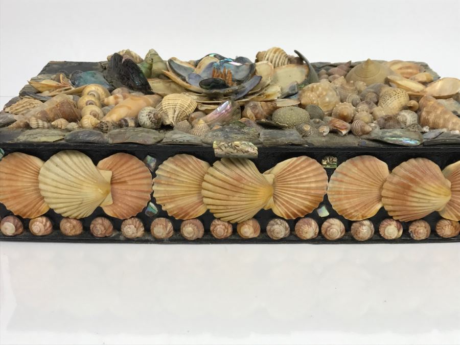Vintage Seashell Box [Photo 4]