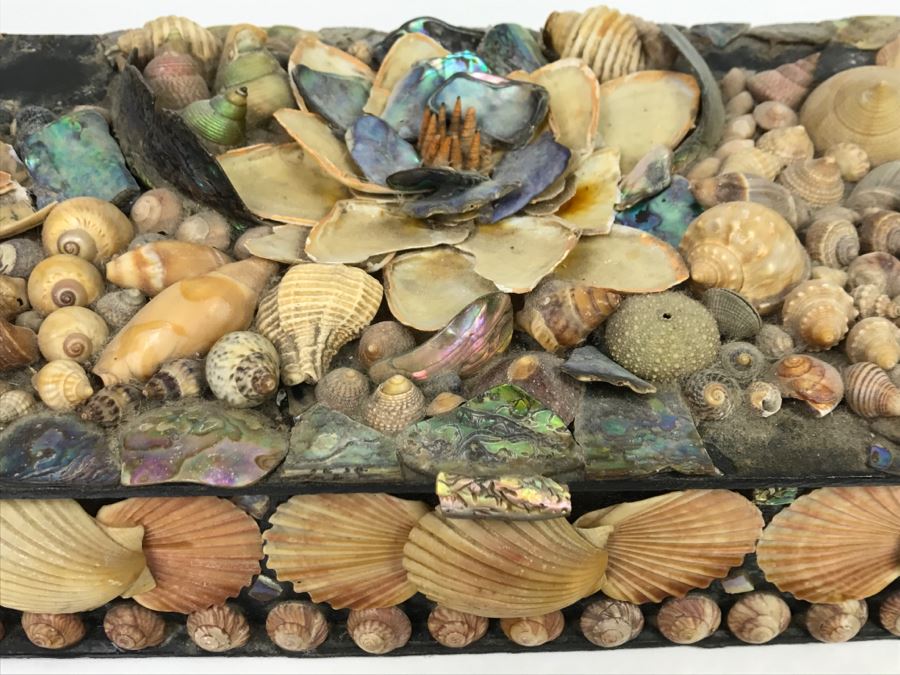 Vintage Seashell Box [Photo 7]