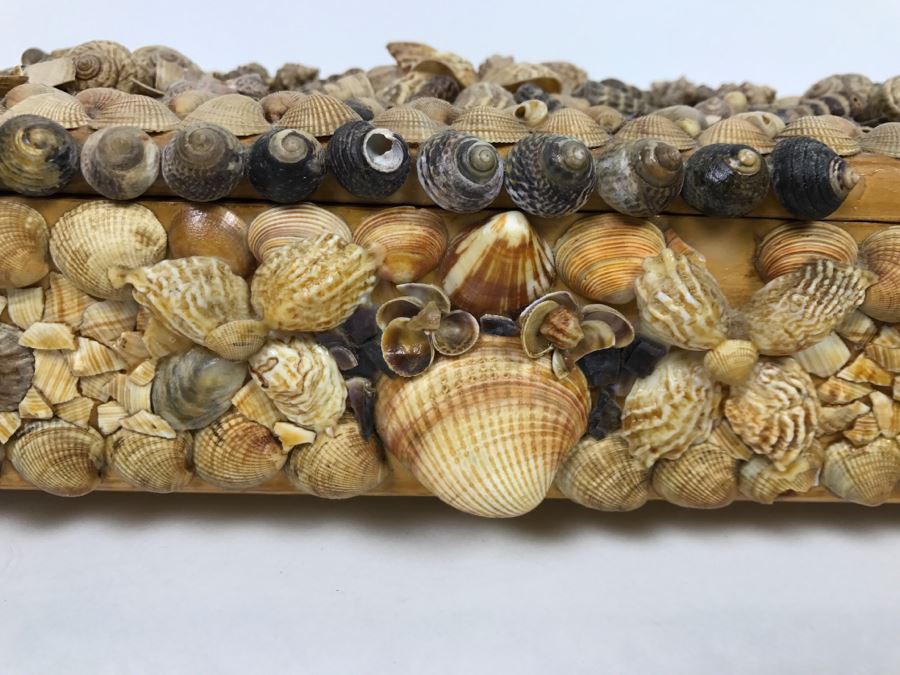 Collection Of (3) Vintage Seashell Boxes [Photo 4]