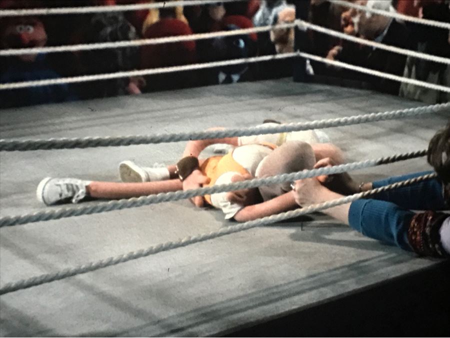 Original Early Slide From Jim Henson's Muppet Show Pilot Titled 'The Muppet Show: Sex And Violence' 1975 By Photographer Charles Rowan [Photo 4]