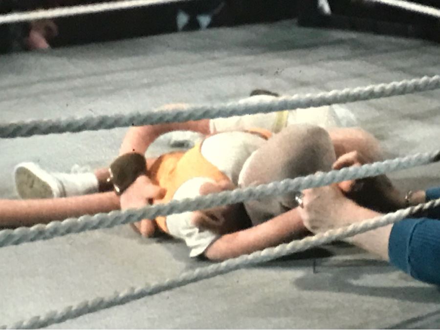 Original Early Slide From Jim Henson's Muppet Show Pilot Titled 'The Muppet Show: Sex And Violence' 1975 By Photographer Charles Rowan [Photo 8]