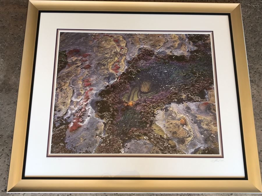 Large Framed Photograph By John T. Ravize Titled 'Neptune's Garden Big Sur' 2000 Limited Edition 81 Of 144 51' X 44' [Photo 2]