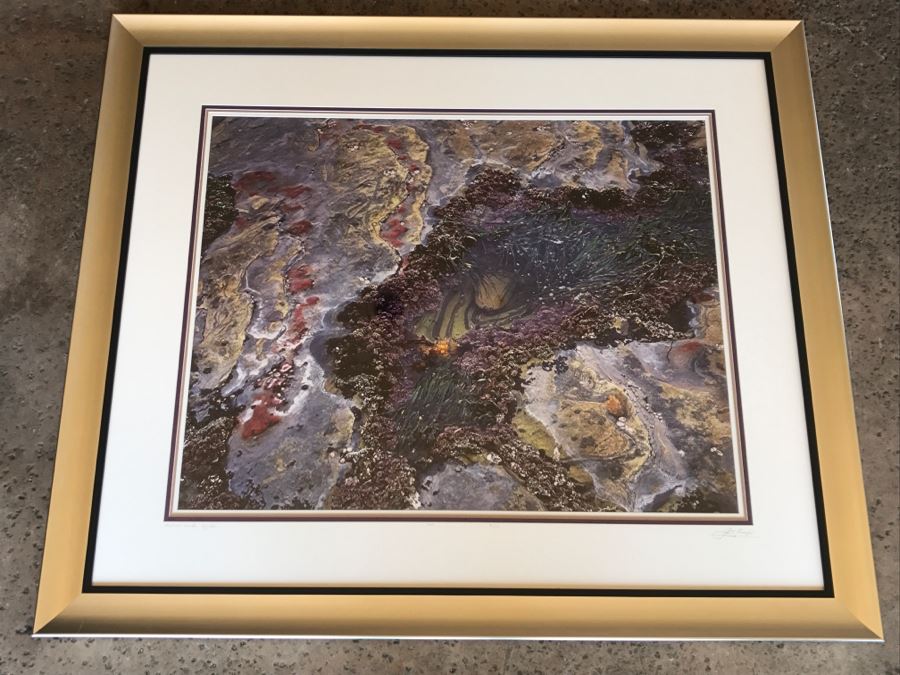 Large Framed Photograph By John T. Ravize Titled 'Neptune's Garden Big Sur' 2000 Limited Edition 81 Of 144 51' X 44' [Photo 1]