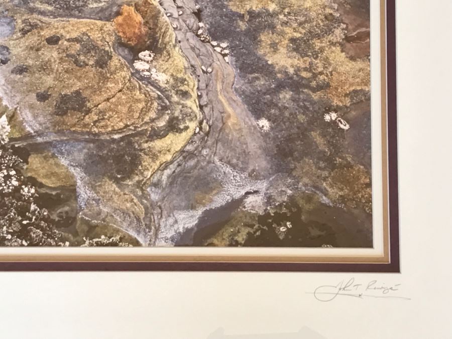 Large Framed Photograph By John T. Ravize Titled 'Neptune's Garden Big