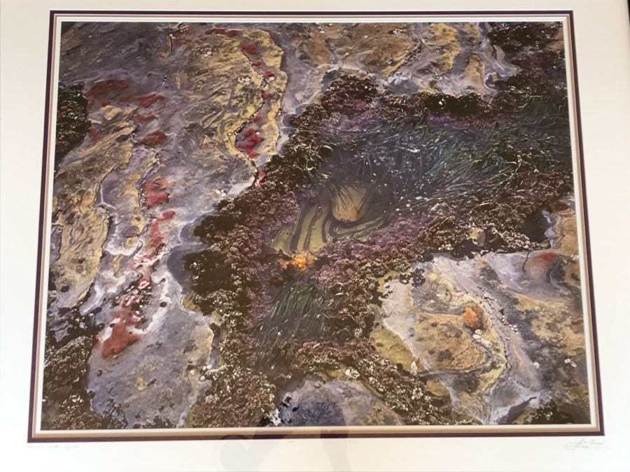 Large Framed Photograph By John T. Ravize Titled 'Neptune's Garden Big Sur' 2000 Limited Edition 81 Of 144 51' X 44' [Photo 3]