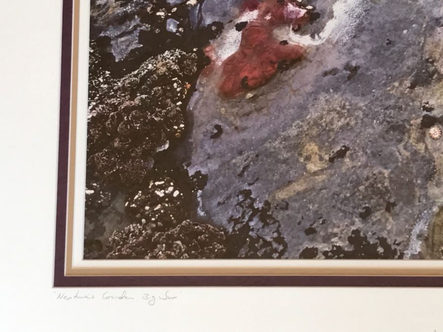 Large Framed Photograph By John T. Ravize Titled 'Neptune's Garden Big Sur' 2000 Limited Edition 81 Of 144 51' X 44' [Photo 12]