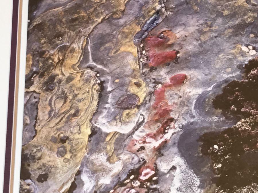 Large Framed Photograph By John T. Ravize Titled 'Neptune's Garden Big