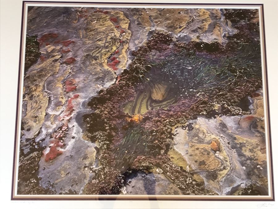 Large Framed Photograph By John T. Ravize Titled 'Neptune's Garden Big Sur' 2000 Limited Edition 81 Of 144 51' X 44' [Photo 4]