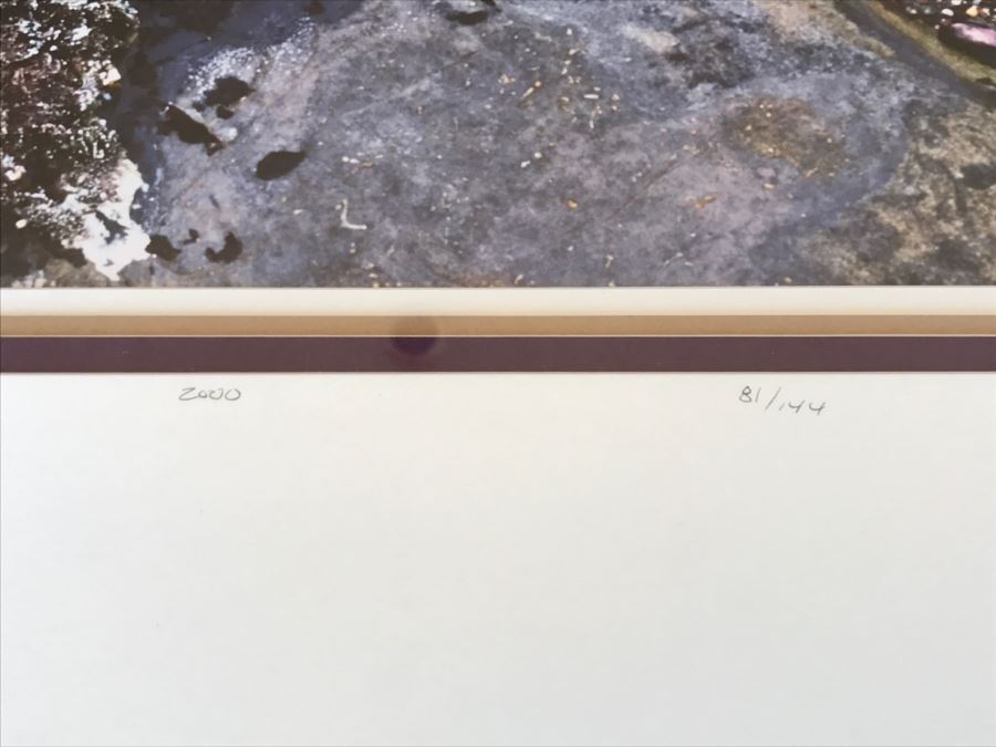 Large Framed Photograph By John T. Ravize Titled 'Neptune's Garden Big Sur' 2000 Limited Edition 81 Of 144 51' X 44' [Photo 19]