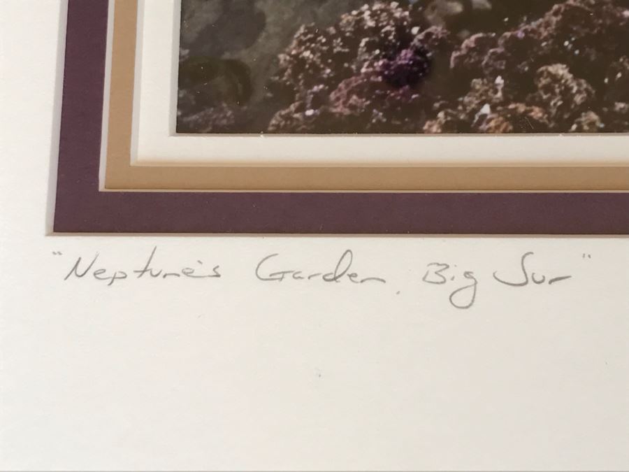 Large Framed Photograph By John T. Ravize Titled 'Neptune's Garden Big Sur' 2000 Limited Edition 81 Of 144 51' X 44' [Photo 18]