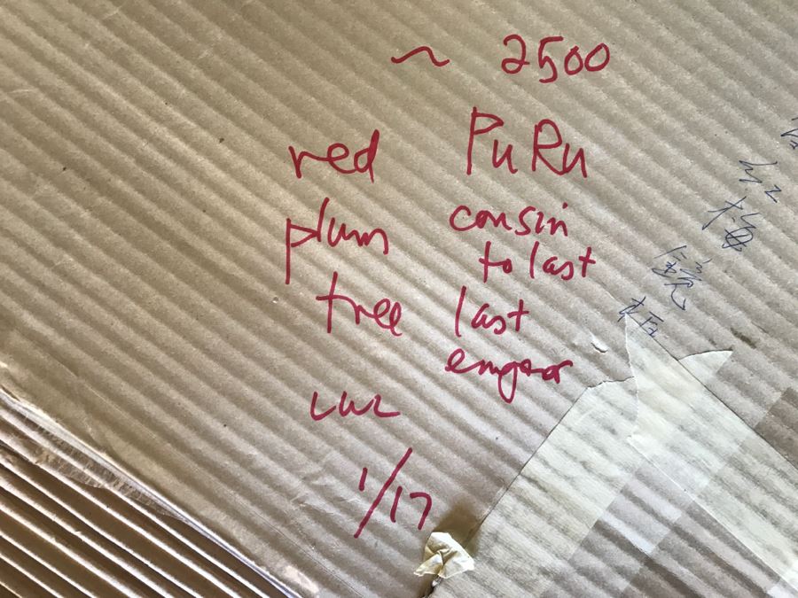 Signed Original Chinese Painting By Puru (1896-1963), Cousin To Last Emperor Of China [Photo 15]