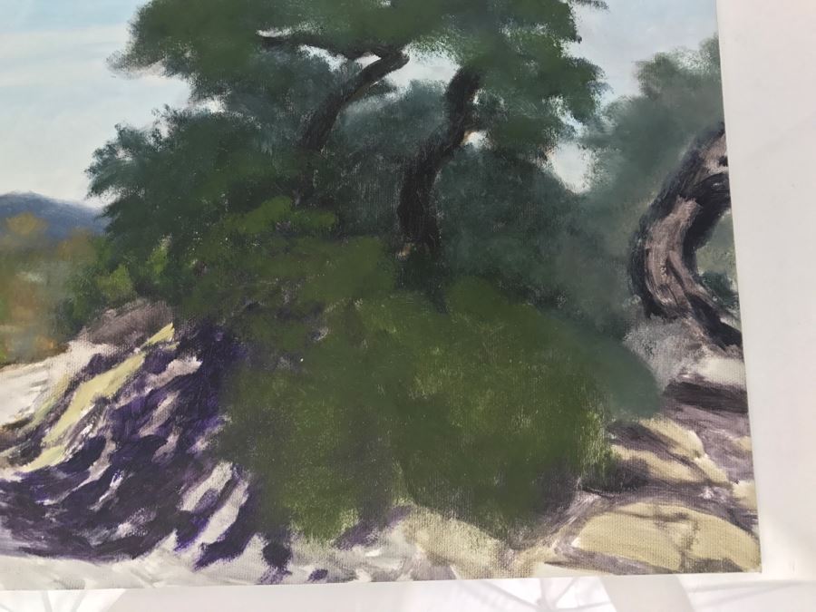 Original Plein Air Painting On Board Of Road North Of Santa Ysabel Unsigned By Hollywood Art Director 14' X 11' [Photo 5]