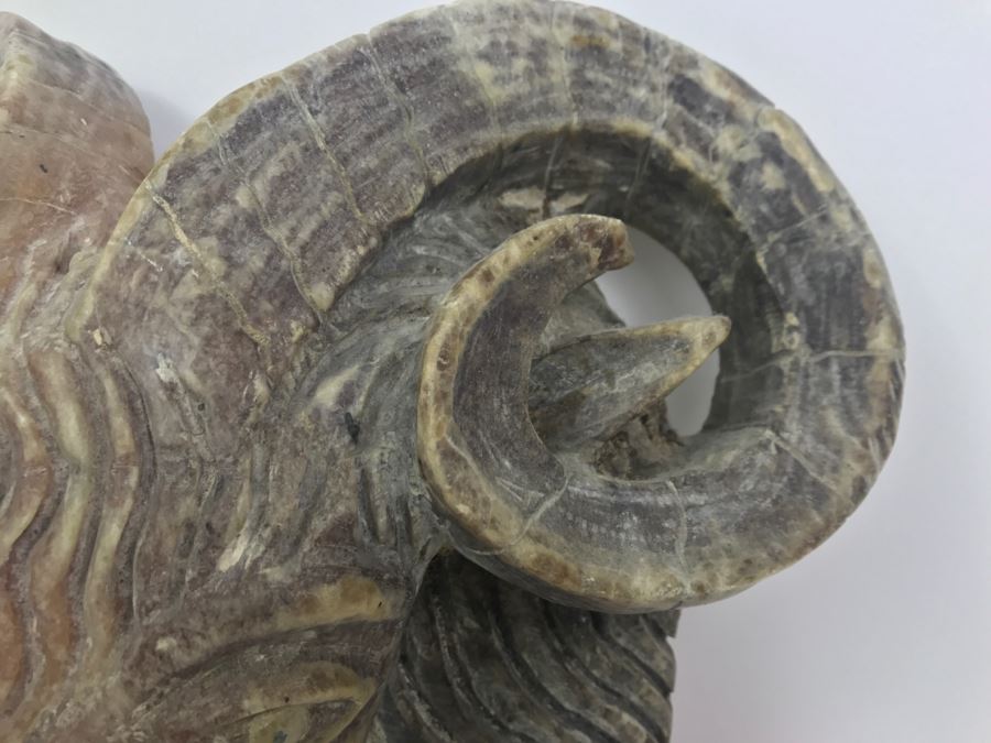 Large Carved Soapstone Rams Head Wall Mount [Photo 9]