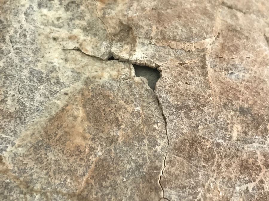 Fossilized Dinosaur Egg [Photo 8]