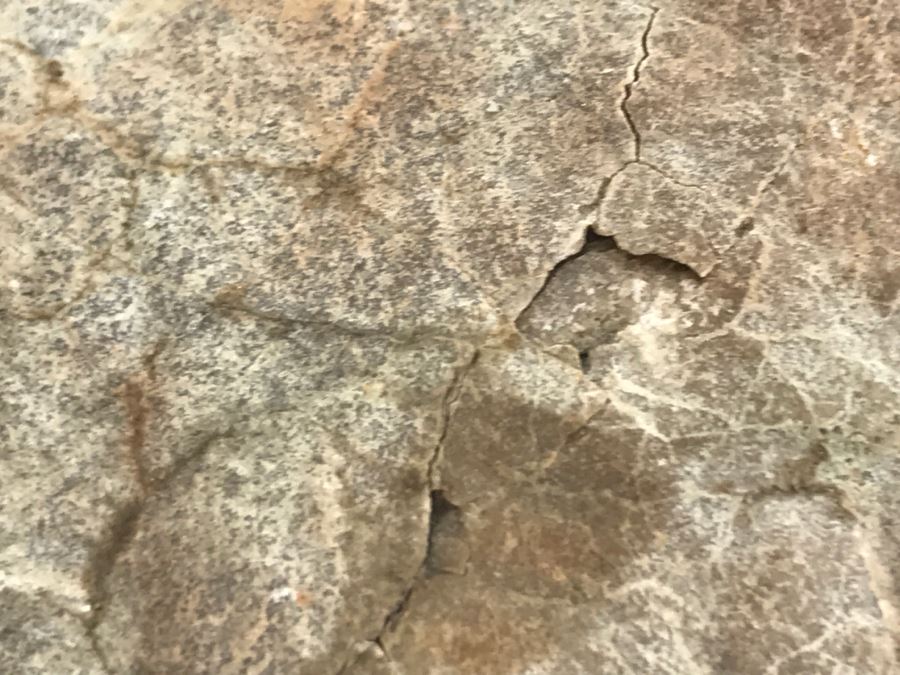 Fossilized Dinosaur Egg [Photo 9]