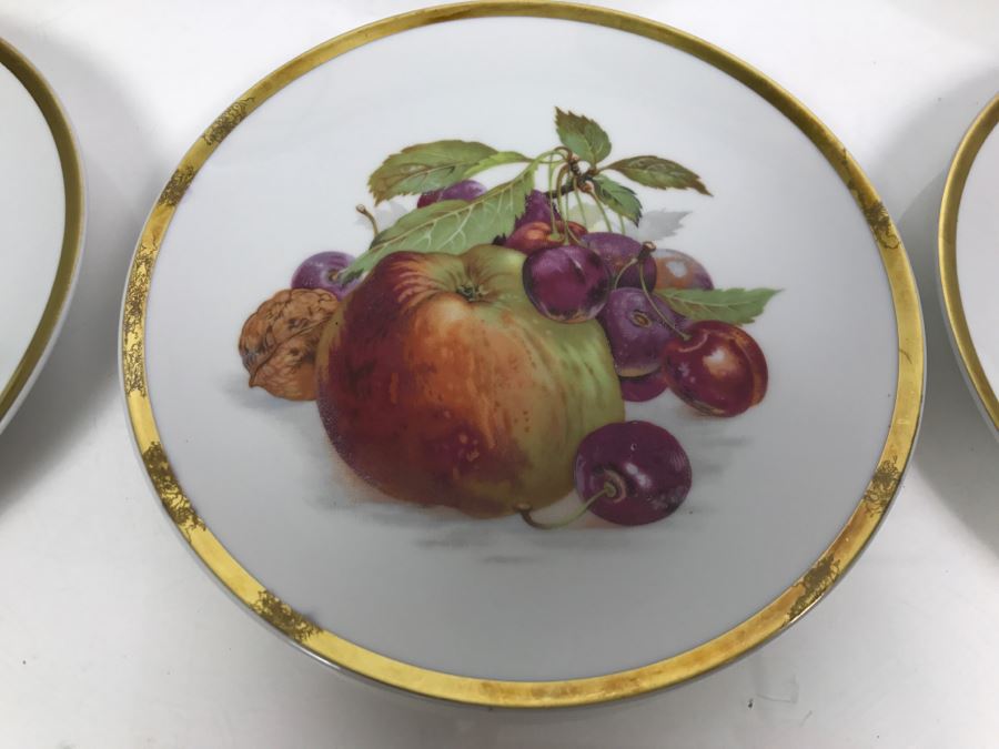 (12) Bavarian Germany Fruit Plates E&R [Photo 3]