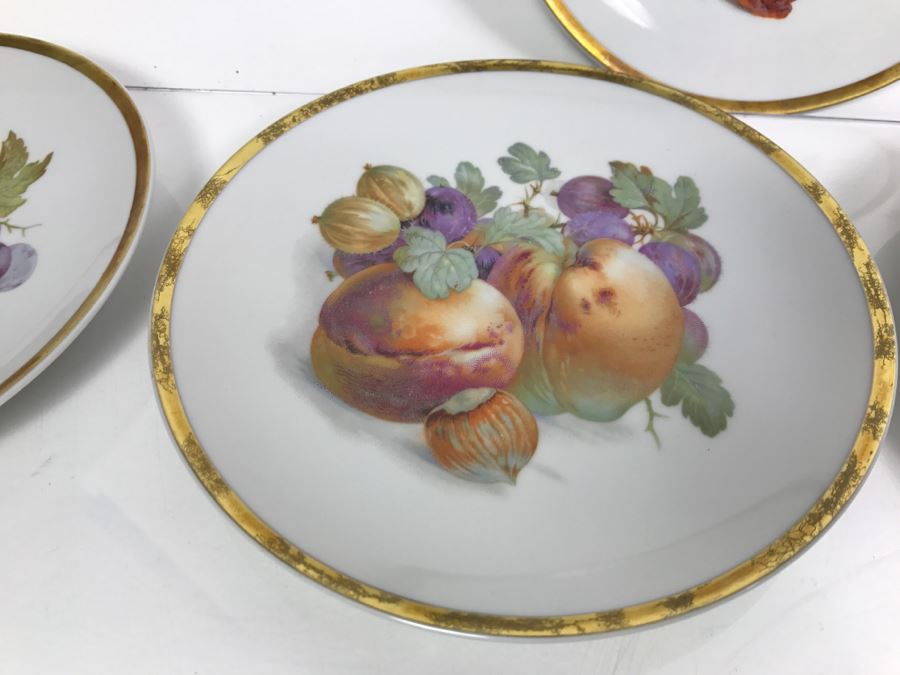 (12) Bavarian Germany Fruit Plates E&R [Photo 8]