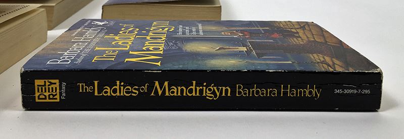 Barbara Hambly Collection: Sun Cross, Witches of Wenshar, etc. - Signed by Barbara Hambly [Photo 33]