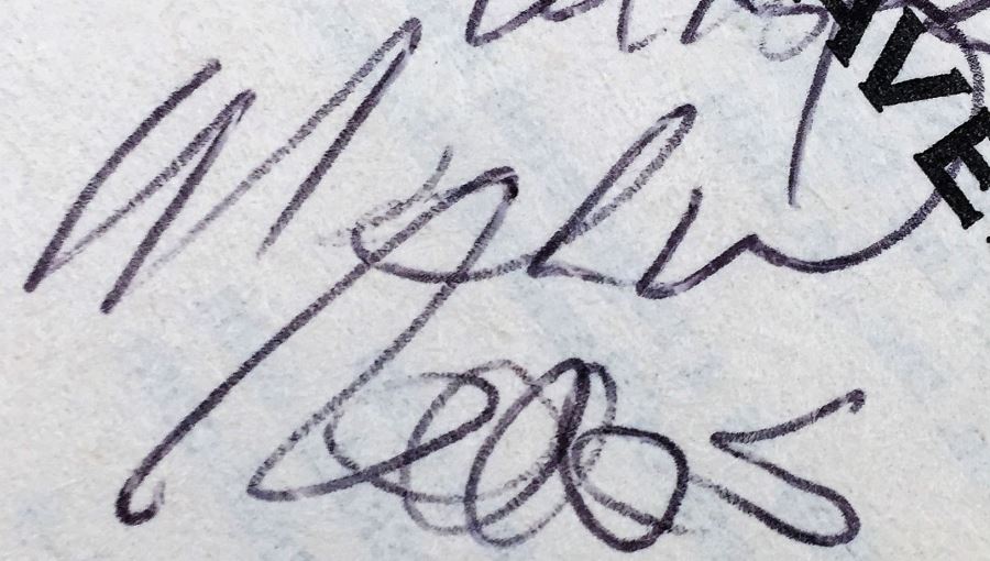 Fire on the Border - Signed by Kevin O'Donnell, Jr.; Wheels of Fire - Signed by Mercedes Lackey; Titan A.E.: Cale's Story - Signed by Kevin J. Anderson & Rebecca Moesta; Star Wars: Darth Maul Shadow Hunter - Signed by Michael Reaves [Photo 24]