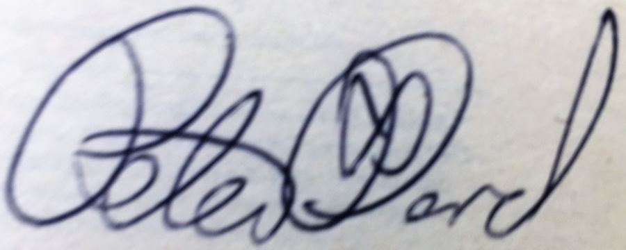 Peter David Collection: Star Trek: The Rift, Howling Mad & The Rocketeer - Signed by Peter David [Photo 18]