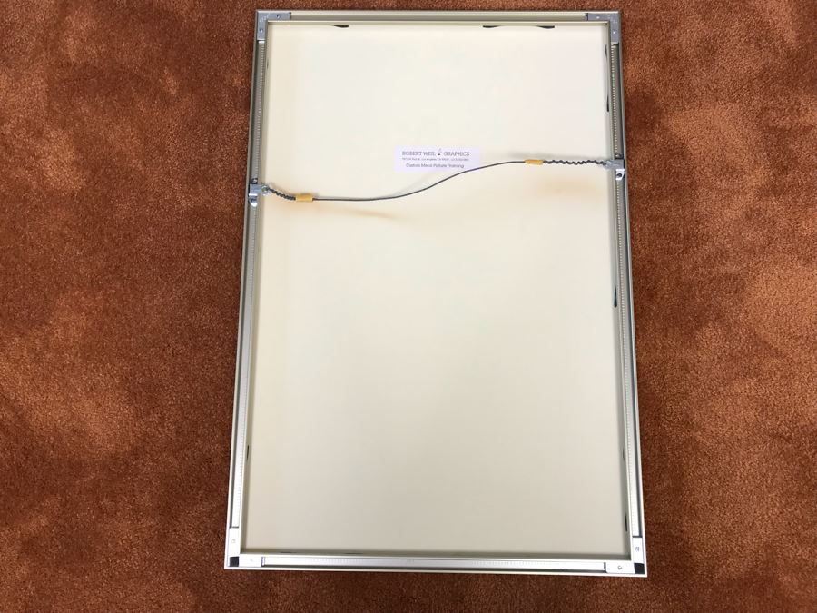 Framed Robert Weil Poster From Museum Of Modern Art Los Angeles 1979 One Hundred Years Of Gynecology 17” X 25” [Photo 10]