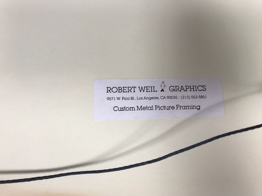 Framed Robert Weil Poster From Museum Of Modern Art Los Angeles 1979 One Hundred Years Of Gynecology 17” X 25” [Photo 11]