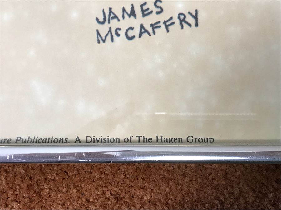 Framed James McCaffry Poster Titled “Inside” Vintage 1978 Arts & Leisure Publications 29” X 40” [Photo 13]