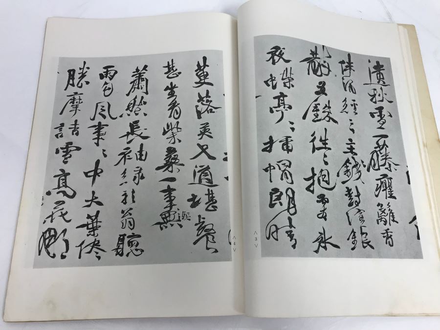JUST ADDED -  Chinese Calligraphy Book [Photo 2]