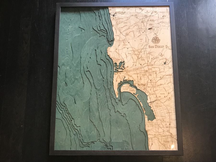 Natural Birch Plywood Topographical Ocean Map Of San Diego Coastline 24.5' X 31' Retails $298 [Photo 1]