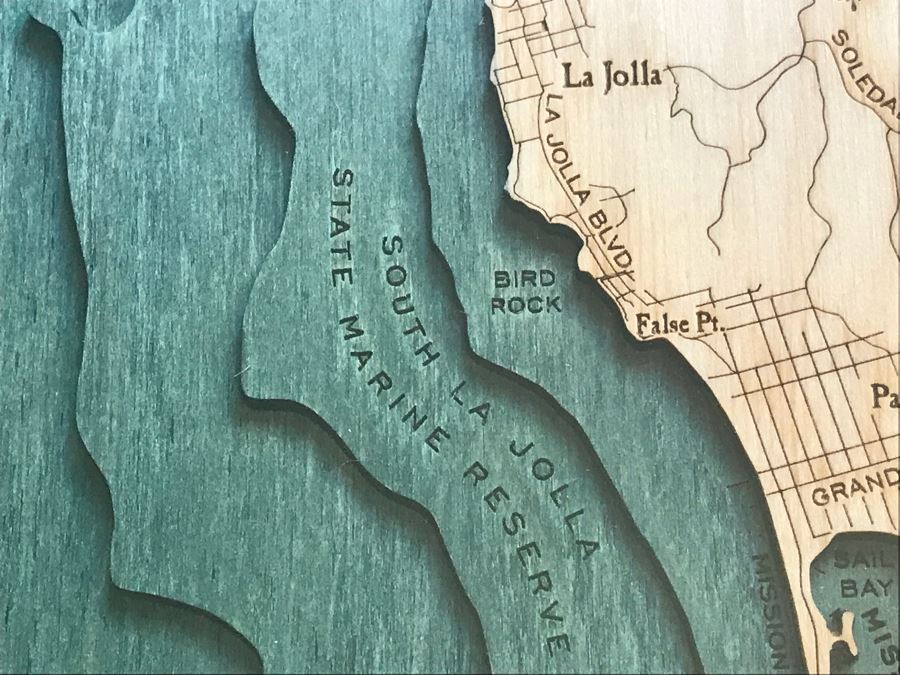 Natural Birch Plywood Topographical Ocean Map Of San Diego Coastline 24.5' X 31' Retails $298 [Photo 12]