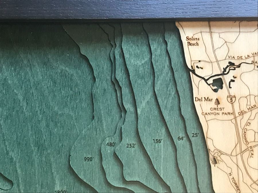 Natural Birch Plywood Topographical Ocean Map Of San Diego Coastline 24.5' X 31' Retails $298 [Photo 7]