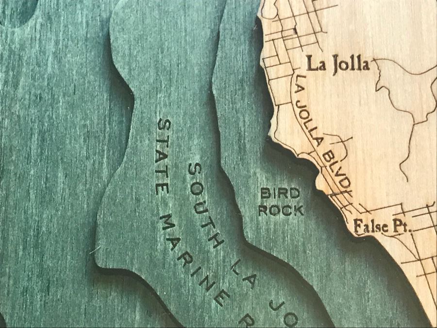 Natural Birch Plywood Topographical Ocean Map Of San Diego Coastline 24.5' X 31' Retails $298 [Photo 13]